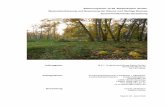 Bebauungsplan 12-58 ‚Biedenkopfer Straße ... · Bebauungsplan 12-58 ‚Biedenkopfer Straße‘ Bestandserfassung und Bewertung der Bäume und flächige Biotope Zusammenfassende