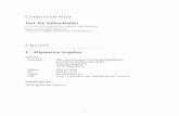 Prof. Dr. Volker Kaibel - math.uni-magdeburg.dekaibel/ALT/Downloads/cv.pdf · curriculum vitae prof. dr. volker kaibel otto-von-guericke universitÄt magdeburg fakultÄt fÜr mathematik