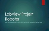 LabView Projekt Roboter - ta- · PDF fileLabView Projekt Roboter VON SIMON MARQUART, NICOLAI FRÖHLICH, TIMO BALZER, YANNIC KÖHNE