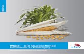 Mais – die Superpflanze · PDF file3 Mais – die Hochleistungspflanze Der Mais ist vielseitig in seiner Verwendung. Neben der traditionellen Nutzung als Silo- bzw. Körnermais wächst