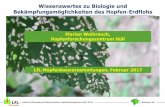 Wissenswertes zu Biologie und Bekämpfungsmöglichkeiten des ... · Institut für Pflanzenbau und Pflanzenzüchtung • Hopfenforschungszentrum Hüll • IPZ 5e F. Weihrauch 2017
