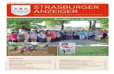 26. Jahrgang — Strasburg (Um.), den 15. Juni 2017 ISSN ... · ester Diagnose- und Messtechnik, bot seitdem Reparaturleistun- gen in höchster Qualität an. Seit 1996 werden im Autohaus