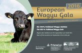 European 2016 Wagyu Gala - Wagyu Münsterland · Please contact Hubertus Diers. Auf Wunsch vermitteln wir Tiere zu einer EU-anerkannten ET-Station, in der im Namen des Käufers ET