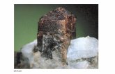 System Erde: Entwicklung und Dynamik: Mineralogie · Pauling’sche Regel: In einer Struktur mit verschiedenen Kationen teilen diejenigen mit hoher Valenz möglichst wenig gemeinsame