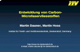 Entwicklung von Carbon- Microfaservliesstoffen · Æ Melt Blow-Carbon-Vliesstoffe werden bislang nicht kommerziell hergestellt. Æ keine Veröffentlichungen oder Patente über Untersuchung