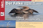 Vögel und Windkraft - lfu.brandenburg.de · Der Falke 58, 2011 499 Vogelschutz Echte „Schlagopfer“ weisen häufi g schwere Frakturen oder gar eine Zerteilung des Rumpfes auf,