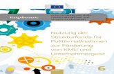 Nutzung der Strukturfonds für Politikmaßnahmen zur ... · auf langjährigen Erfahrungen regionaler Akteure mit zahlreichen Projekten in ganz Europa sowie auf einschlägigen Studien