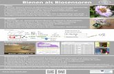 Bienen als Biosensoren - claus-brell.declaus-brell.de/materialien/poster-bienen-als-biosensoren-  · PDF fileProf. Dr. Claus Brell 05.2019 Bienen als Biosensoren Thesen 1. Bienen
