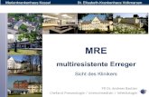 MRE Gesundheitsamt Symposiummre-nord-ost-hessen.de/wp-content/uploads/2017/10/Rationale... · Marienkrankenhaus Kassel St. Elisabeth-Krankenhaus Volkmarsen Anteil der MRSA (%) an
