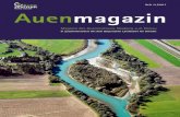 Heft 11 / 2017 Auenmagazin - auenzentrum-neuburg-ingolstadt.de · benthos) auch noch gute Zustände auf, die als Ausgangspunkte für eine Wiederbesied - lung anderer Abschnitte dienen