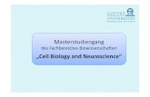 Präsentation Master Cell Biologyx - bio.uni-frankfurt.de · MSc CB&NS Nr. 2b Advancesd Cell Biology (Zellbiologie für Fortgeschrittene) PM 6 CP Inhalte: Ringvorlesung: Ausgewählte