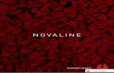 Novaline datenblatt-carina - ofenseite · Holzenergie Da Holz ein Naturprodukt ist, unterliegt sein Aufbau und seine Zusammensetzung immer gewissen Schwank ungen, was sich auch auf