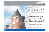 „Chemobrain: Wie reagiert das Gehirn auf Chemotherapie?“ · U N I V E R S I T Ä T S M E D I Z I N B E R L I N „Chemobrain: Wie reagiert das Gehirn auf Chemotherapie?“ Dr.