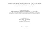 Oberflächenmodifizierung von Lactose mit überkritischem CO2hss.ulb.uni-bonn.de/2003/0258/0258.pdf · Oberflächenmodifizierung von Lactose mit überkritischem CO 2 Dissertation