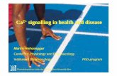 Ca2+ signalling signalling in in healthhealth and and ... Ca2+ signallingsignalling in in healthhealth