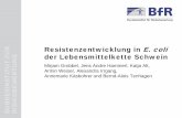 Resistenzentwicklung in E. coli BUNDESINSTITUT F£“R ... Resistenzmonitoring von E. coli in der LM-Kette