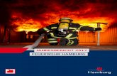 JAHRESBERICHT 2017 FEUERWEHR HAMBURG · Feuerwehr Hamburg – Jahresbericht 2017 4 1 Statistik gemäß Standard der Arbeitsgemeinschaft der Leiter der Berufsfeuerwehren (AGBF)