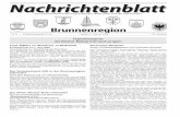 Gemeinsame Amtliche Bekanntmachungenslr.nussbaumservice.de/Brunnenregion/2009/Nachrichtenblatt... · nanzamtes Sinsheim alle Steuerkunden umfassend informiert wa-ren. Als Highlight