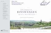 ERLENBACH - BINSWANGEN - denkmalpflege-bw.de · Topographie / Naturraum Binswangen (170 m ü. NN) liegt als Ortsteil der Ge-meinde Erlenbach im Taleinschnitt der Sulm ungefähr 3