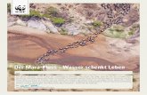Der Mara-Fluss – Wasser schenkt Leben - wwf.de€¦ · Mit dieser Urkunde wurde Ihnen ein wunderbares Geschenk überreicht. Sie zeigt, dass Sie für den einzigartigen Reichtum Ostafrikas