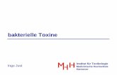 bakterielle Toxine - toxberlin.de Toxine.pdf · Therapie: Diphtherie-Antitoxin, Penicillin Diphtherie-Toxin S _ S E TR. Diphtherie-Toxin ¨Hemmung der Proteinbiosynthese ¨Zelltod
