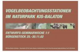 lay juribericht.2 def - cms.deplazes.arch.ethz.ch · Entwürfe von Studierenden der ETH Zürich für Vogelbeobachtungsstationen am Kis Balaton (kleinen Plattensee) in Ungarn geplante