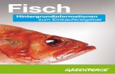 Fisch - Hintergrundinformationen zum Einkaufsratgeber ... · 6 Thunfisch ist nicht gleich Thun-fisch – auch wenn uns dies eini-ge Hersteller weismachen wol-len und einfach nur „Thunfisch“