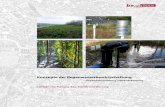 Konzepte der Regenwasserbewirtschaftung · 7 Einleitung In dem hier vorliegenden Leitfaden stehen die Empfehlungen für künftige Bauprojekte im Bereich der Regenwasserbewirtschaftung