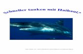 Inhaltsverzeichnis · Beispielsweise besitzen der Mako-, Fuchs- und weißer Hai viel kleinere und feinere Rillen auf ihren Hautschuppen als die langsamer schwimmenden Arten wie der