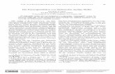 Die Paarungsreaktion von Stylonychia mytilus Müllerzfn.mpdl.mpg.de/data/Reihe_B/6/ZNB-1951-6b-0045.pdf · Abb. 1. Stylonychia mytilus. Paarungsreaktion. Schema, a Kreisbewegungen