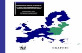HERAUSFORDERUNGEN AN DIE KONTROLLE DES … · Grenzenloses Europa: Herausforderungen an die Kontrolle des Artenhandels in der erweiterten Europäischen Union 5 DANKSAGUNG Dieser Bericht