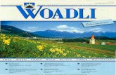 ARZL · WALD · LEINS · RIED · BLONS · TIMLS · HOCHASTEN Nr. 11 - April 1996.pdf · me des gesamten Altbaus werden den Walder Vereinen zur Nutzung überlassen, die sie überden