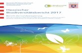 Hessischer Biodiversitätsbericht 2017 - umwelt.hessen.de · Hessischer Biodiversitätsbericht 2017 3 Vorwort 4 1 Die Bedeutung der Vielfalt der Natur 6 2 Aktuelles zur Hessischen