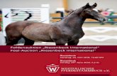 Fohlenauktion „Riesenbeck International“ Foal-Auction ... · Toni Haßmann Kundenservice Sales support Tel. +49 (0) 151 - 24 080 332 For the selection of your future horse(s)