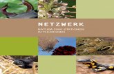NETZWERK - natura2000-thueringen.de · mit der Fauna-Flora-Habitat-Richtlinie (FFH-RL) aus 1992 die Grundlage für das weltweit größte, grenzüberschreitende Schutzgebietssystem: