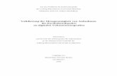 Validierung der Messgenauigkeit von Aufnahmen des ... · Literaturübersicht - 8 - Darstellungen (Suomalainen et al. 2008). 2011 verglichen Kamburoglu et al. verschiedene DVT Geräteypen