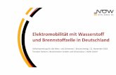 Elektromobilität mit Wasserstoff und Brennstoffzelle in ... · Quelle: Frank Koch, 11. Sitzung Deutsches BZ ‐Bus ... Thorsten Herbert Bereichsleiter Verkehr und Infrastruktur