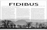 Liebe Freunde des Fidibus, - dv-hohenthann.de · FIDIBUS Januar 2009 Seite 3 Information Bauten, die mir bisher entgangen waren. Wer sich die Muße dazu nimmt, kann hier ein Leben