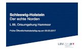 20170309 Präsentation Hammoor Endstand - bargteheide-land.eu · PDF fileSchleswig-Holstein. Der echte Norden. 9 Gutachten -Städtebau -> Gutachten ist in Arbeit • Es lässt sich