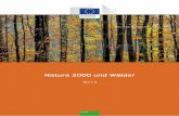 Natura 2000 und Wälder - ec.europa.euec.europa.eu/environment/nature/natura2000/management/docs/Final Guide... · ZWECK DIESES DOKUMENTS Weshalb ein neues Dokument zum Thema „Natura