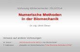 Numerische Methoden in der Biomechanik - uni-ulm.de · die numerische Lösung sich mit zunehmender Anzahl von finiten Elementen immer besser an die exakte Lösung annähert. Bei richtig