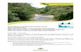 Informationen zum Managementplan für die Natura 2000 ... · 1013 Vertigo geyeri Vierzähnige Windelschnecke 1014 Vertigo angustior Schmale Windelschnecke 1032 Unio crassus Kleine