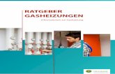 RATGEBER GASHEIZUNGEN - heizsparer.de · Grundlagen 3 Gasheizungen sind in Deutschland mit Abstand die am weitesten ver-breite Heizungsart. Das ist auch kein Wunder, Gasheizungen