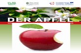 DER APFEL - oststeiermark.com · fast 500 Betriebe den Apfelanbau aufgegeben, die Flächen bleiben aber annähernd dieselben, das heißt, die bestehen bleibenden Betriebe ver - größern