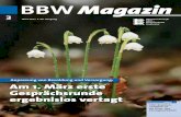 BBW Magazin 3-2017 ohne Anzeigen - bbw.dbb.de · präents iert 12 Bildungshaushalt 2017 setzt neue Akzente 12 Lob und Anerkennung für den Menschen, den Schulmann und den Gewerkschafter