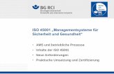 ISO 45001 „Managementsysteme für Sicherheit und Gesundheit“ · ISO 45001 - Ausgliederung. BG RCI - Organisation des Arbeitsschutzes Seite 18 3.34 Nichtkonformität Nichterfüllung