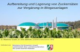 Aufbereitung und Lagerung von Zuckerrüben zur Vergärung in ... · Biogas [m³N/kg TSK] CH4 [ m³] Gesamtmasse [kg] TSk [kg] kg o.TM [kg] Biogas [m³] Biogas [m³N/kg FM] Biogas