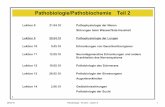 Pathobiologie/Pathobiochemie Teil 2 - alexeberle.chalexeberle.ch/files/Pathobiology-ETHZ/Pathobiol-9.pdf · Lektion 8 21.04.10 Pathophysiologie der Nieren Störungen beim Wasser/Salz-Haushalt