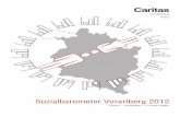 Inhalt Daten – Analysen – Forderungen Vorarlberg€¦ · Auch wenn Vorarlberg traditionell ein wohlhabendes Bundesland ist, sind einige sozia-le Schieflagen unverkennbar: Der