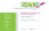 ZAK 1 19 20 web - zak-heidenheim.de · 4 Selbst aktiv werden: entdecken, forschen, experimentieren und konstruieren – ohne trockene Theorie, ohne Noten. W das alles geht in der